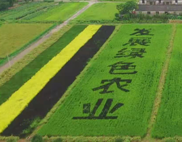 多乐游戏斗地主赢现钱:全球高粱看我国：澳大利亚和阿根廷争抢美国最大卖家方位